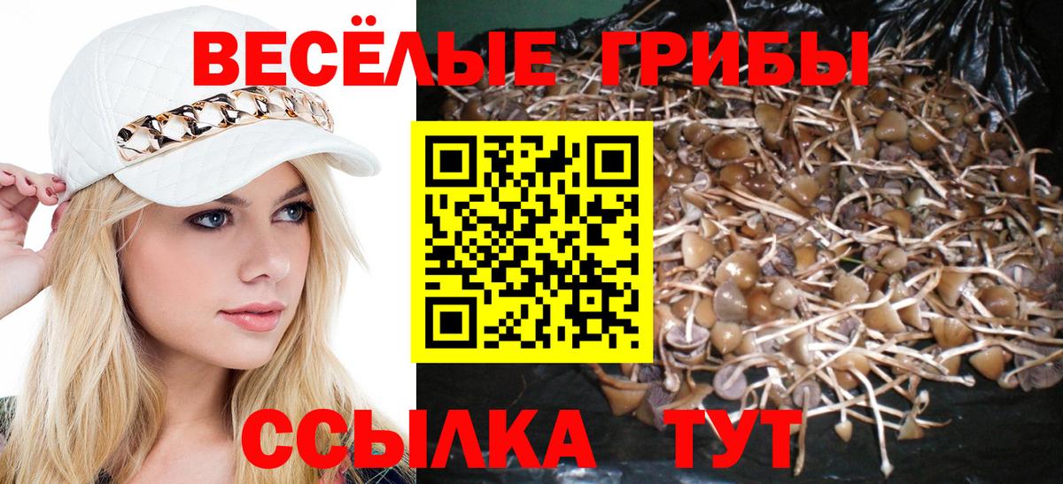 Галлюциногенные грибы Magic Shrooms  Вход с VPN  Каменск-Шахтинский  Псилоцибиновые грибы Magic Shrooms 